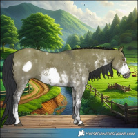 Horse Color:White Spotted Grullo Chinchilla Frame 