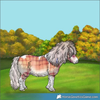 Horse Color:Plaid Silver Bay Onyx Tobiano