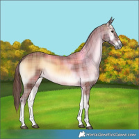 Horse Color:Plaid  Red Onyx Tobiano 