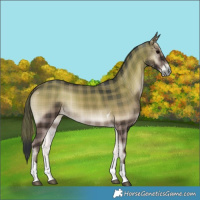 Horse Color:Plaid Blue Onyx Tobiano Rabicano