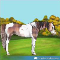 Horse Color:Plaid  Blue Onyx Splash Tobiano 