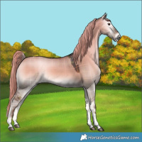 Horse Color:Plaid  Liver Red Dun Onyx Tobiano Rabicano 