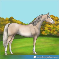 Horse Color:Chocolate Palomino Pearl Rabicano