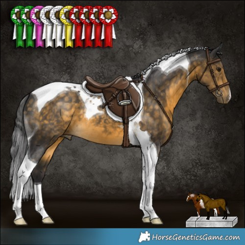 Horse Color:Buckskin Tobiano 