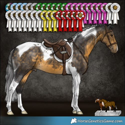 Horse Color:Buckskin Tobiano