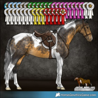 Horse Color:Buckskin Tobiano 