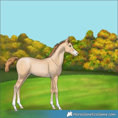 Horse Color:Smoky Black Pearl 