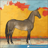 Horse Color:Buckskin Dun Appaloosa Brindle