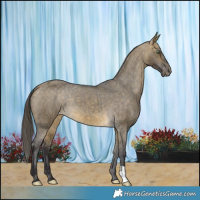 Horse Color:Buckskin Dun Varnish Brindle 