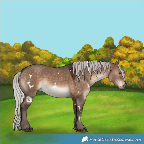 Horse Color:White Spotted Silver Brown Dun 