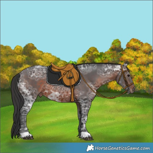 Horse Color:Brown Ice 