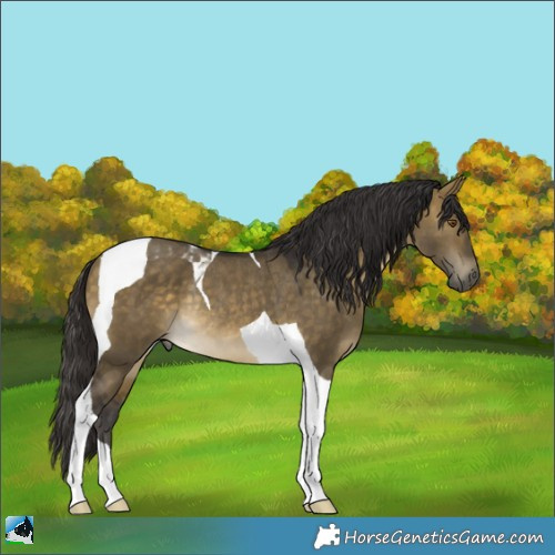 Horse Color:Buckskin Dun Mushroom Tobiano Rabicano 