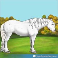 Horse Color:Chocolate Palomino Dun Sabino