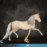 Horse Color:Palomino Pearl 