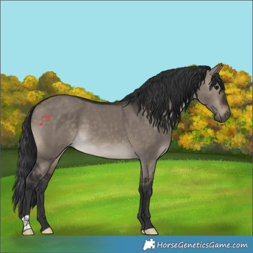 Horse Color:Brown Dun 