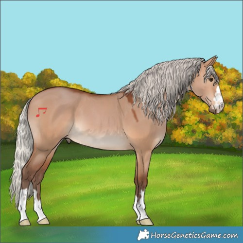 Horse Color:Silver Bay Dun 