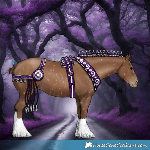 Horse Color:Gray Black Pearl Snowflake Varnish