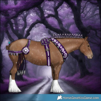Horse Color:Gray Black Pearl Snowflake Varnish 
