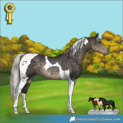 Horse Color:Silver Smoky Black Tobiano Rabicano 