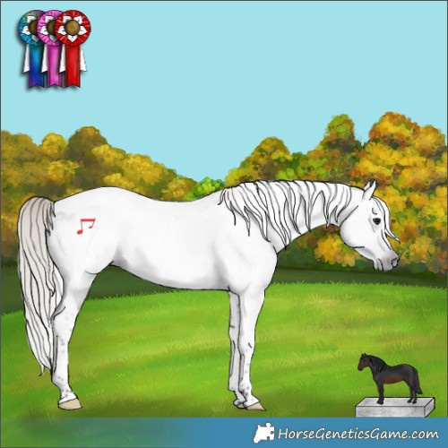 Horse Color:Gray Silver Brown Roan Tobiano Appaloosa 