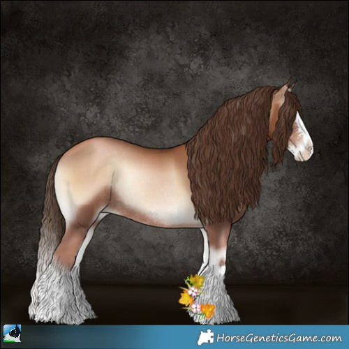 Horse Color:Liver Red Onyx Pearl Splash Rabicano 
