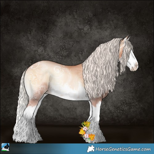 Horse Color:White Spotted Silver Bay Ice Pearl Onyx Splash Rabicano 