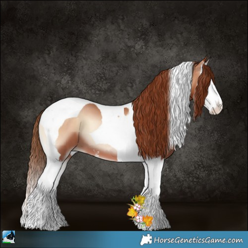 Horse Color:Bay Pearl Onyx Sabino Splash Tobiano 
