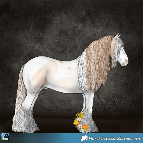 Horse Color:Gold Champagne Pearl Onyx Splash Tobiano Rabicano 