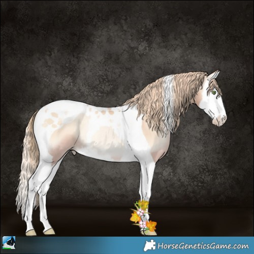 Horse Color:Gold Champagne Pearl Onyx Splash Tobiano Rabicano 