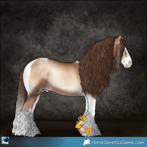 Horse Color:Liver Red Onyx Pearl Splash Tobiano Rabicano 