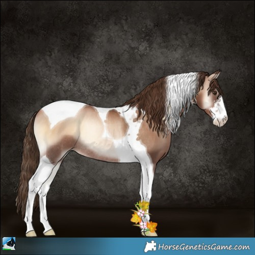 Horse Color:White Spotted Liver Red Onyx Pearl Tobiano Rabicano 