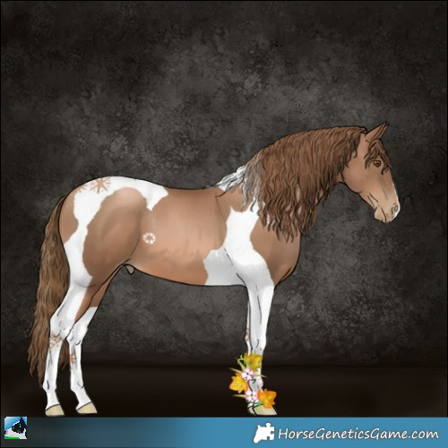 Horse Color:Liver Chestnut Pearl Tobiano 