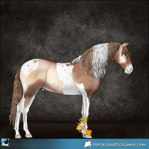 Horse Color:Liver Red Onyx Pearl Tobiano Rabicano 