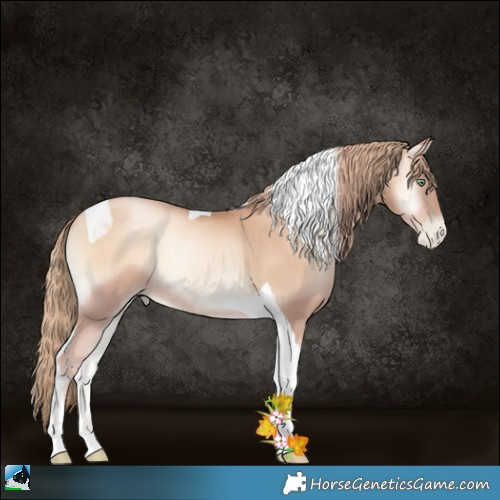 Horse Color:Gold Champagne Pearl Onyx Tobiano Rabicano 