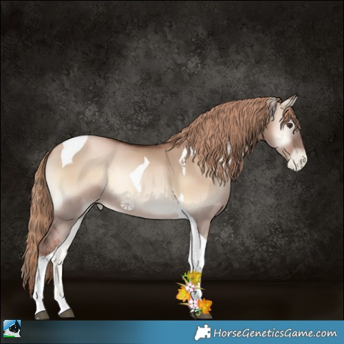 Horse Color:Liver Red Dun Pearl Onyx Tobiano 