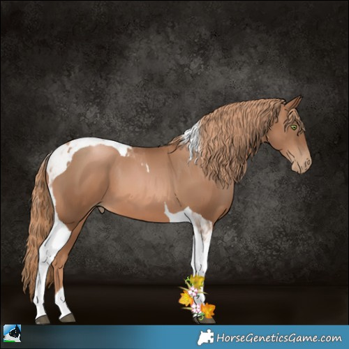 Horse Color:Liver Chestnut Pearl Tobiano 