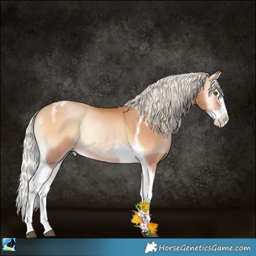 Horse Color:Silver Bay Pearl Onyx Splash Tobiano Rabicano 