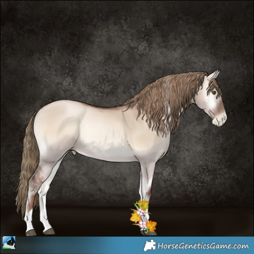 Horse Color:Liver Red Dun Pearl Onyx Tobiano Rabicano 