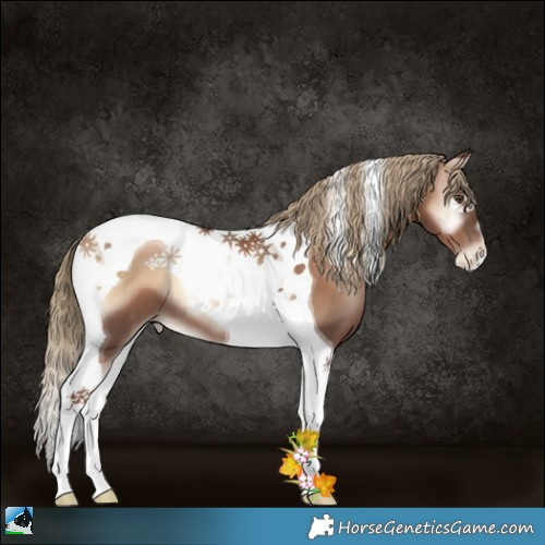 Horse Color:Liver Red Onyx Pearl Tobiano 