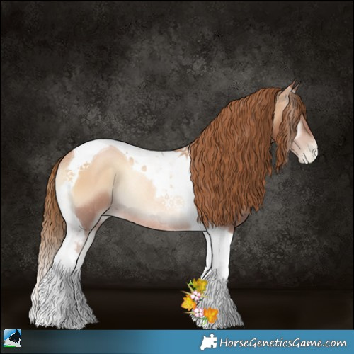 Horse Color:Red Onyx Pearl Tobiano Rabicano 