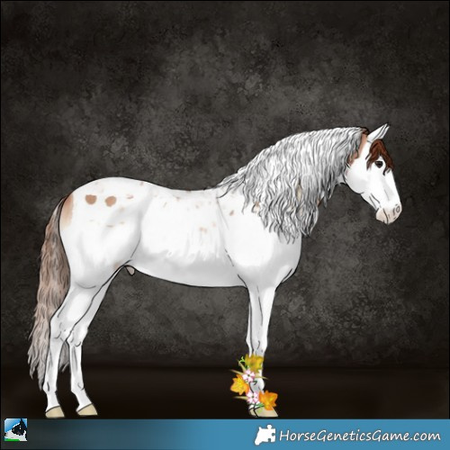 Horse Color:Brown Pearl Onyx Splash Tobiano Rabicano 