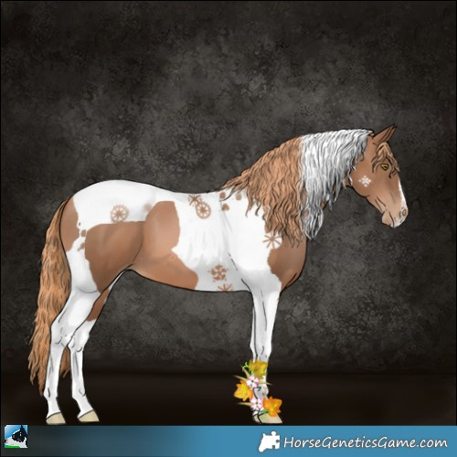 Horse Color:Liver Chestnut Pearl Tobiano 