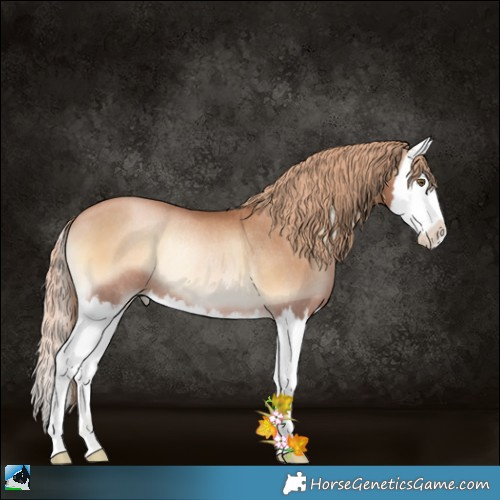 Horse Color:Red Onyx Pearl Splash Rabicano 