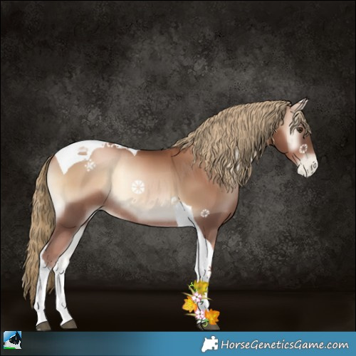 Horse Color:Liver Red Onyx Pearl Tobiano Rabicano 