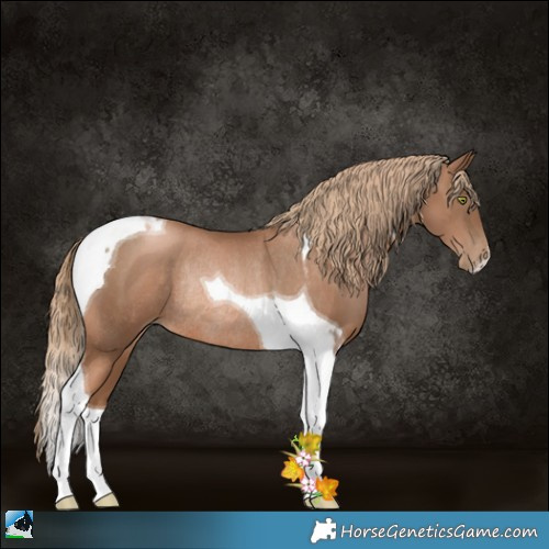 Horse Color:Liver Chestnut Pearl Tobiano Rabicano 