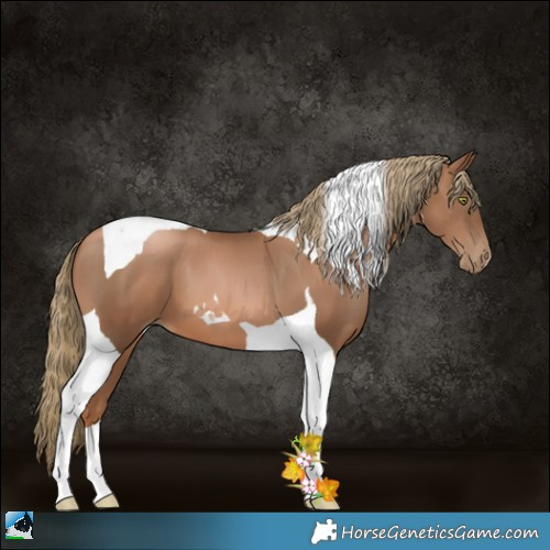 Horse Color:Liver Chestnut Pearl Tobiano 