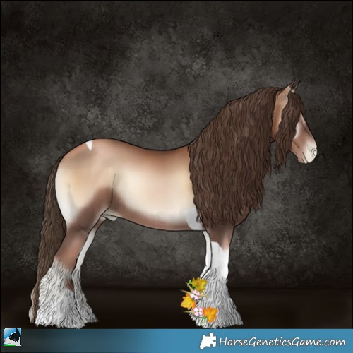 Horse Color:Liver Red Onyx Pearl Tobiano Rabicano 