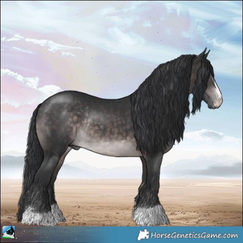 Horse Color:Platinum Brown Rabicano 