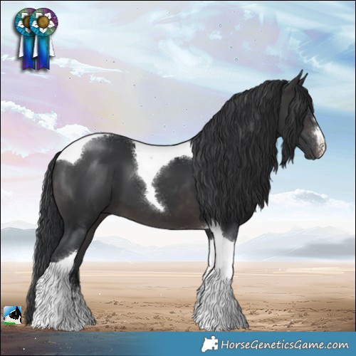 Horse Color:Platinum Brown Tobiano 