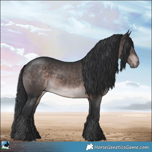 Horse Color:Platinum Brown Rabicano 
